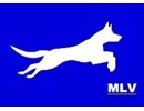 MLV